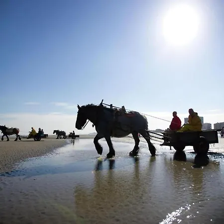 Apartament In With Sea Views Nieuwpoort