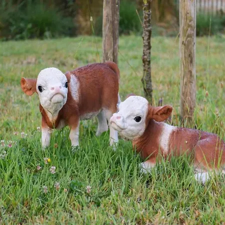 Apartament In With Sea Views