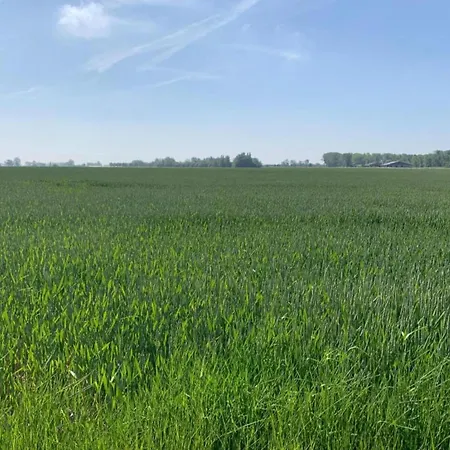 In With Sea Views * Nieuwpoort