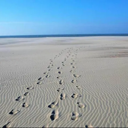 Apartament In With Sea Views Nieuwpoort