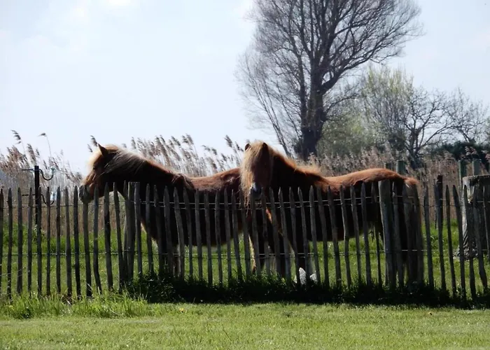 Apartment In With Sea Views Nieuwpoort
