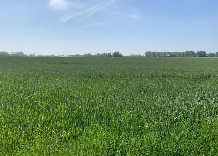 In With Sea Views * Nieuwpoort